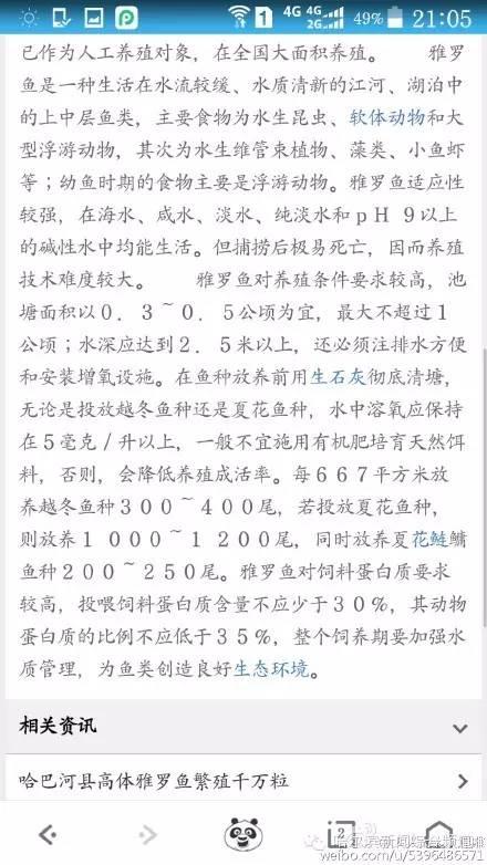 哈爾濱萬元吃魚：劇情大逆轉了？真相究竟是什麼？