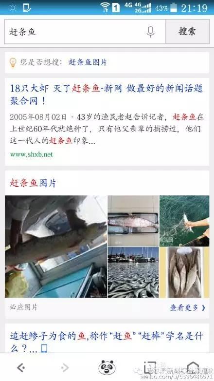 哈爾濱萬元吃魚：劇情大逆轉了？真相究竟是什麼？