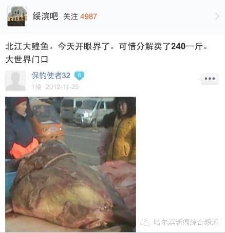 哈爾濱萬元吃魚：劇情大逆轉了？真相究竟是什麼？