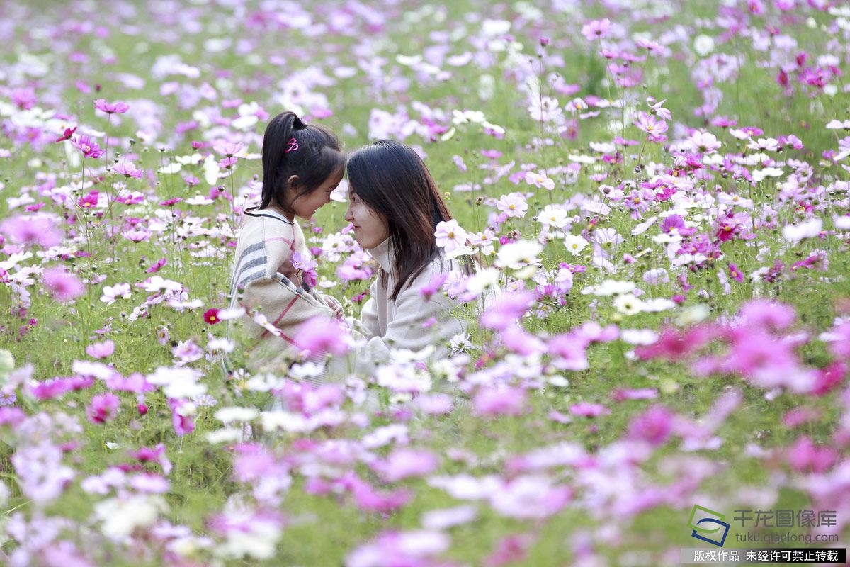 北京奧森公園百畝花海“代言”秋天童話