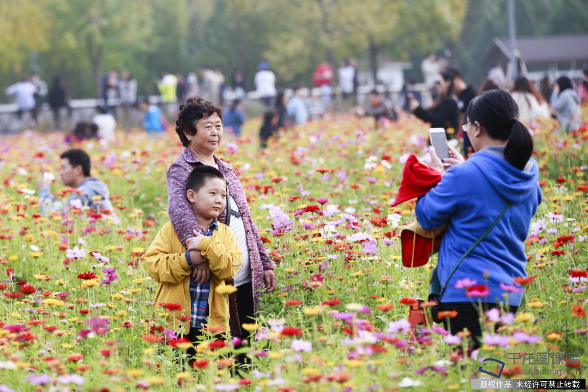 北京奧森公園百畝花海“代言”秋天童話