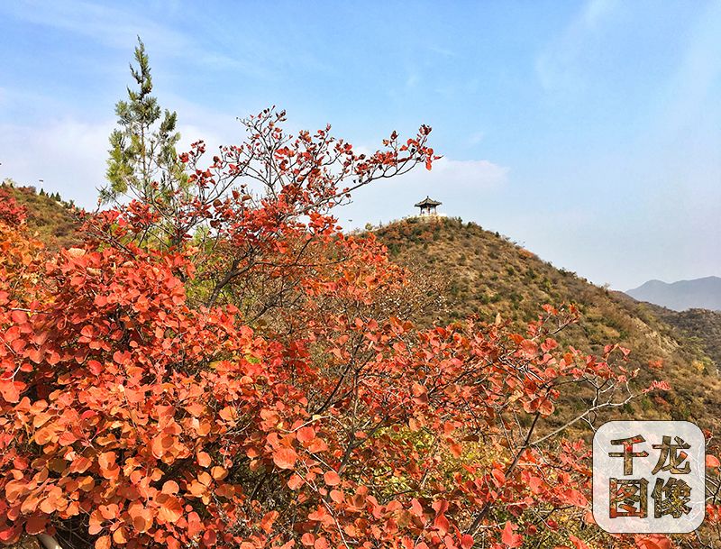 北京門頭溝清水鎮紅葉正當時