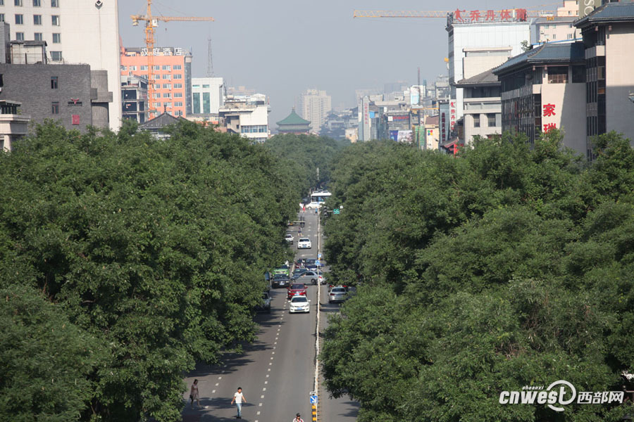 【焦點圖 顯示圖在稿件最下方】西安城裏那些因綠而美的路