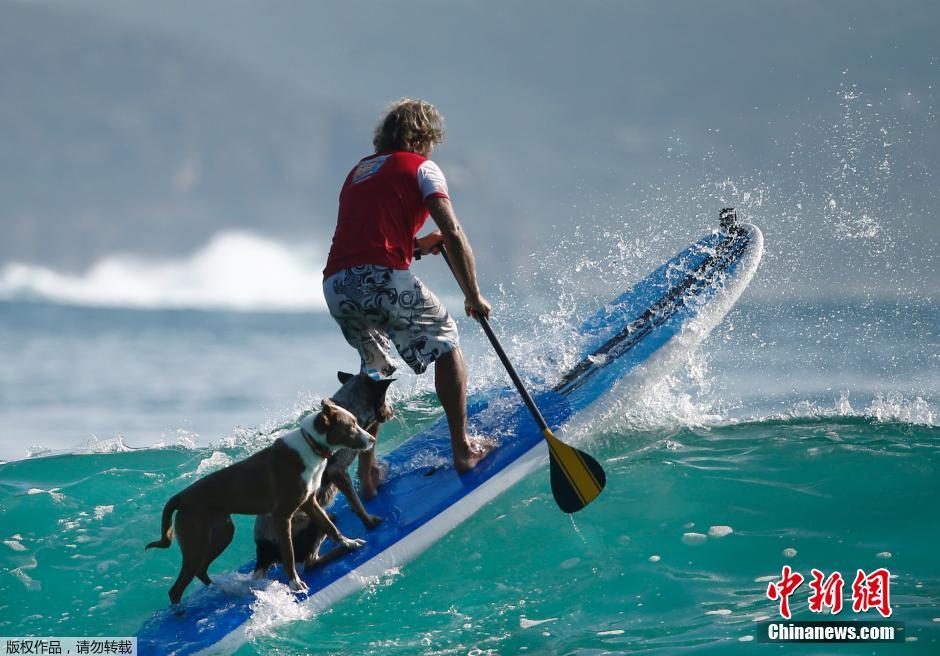 前沖浪冠軍變訓犬師 與狗狗出海沖浪