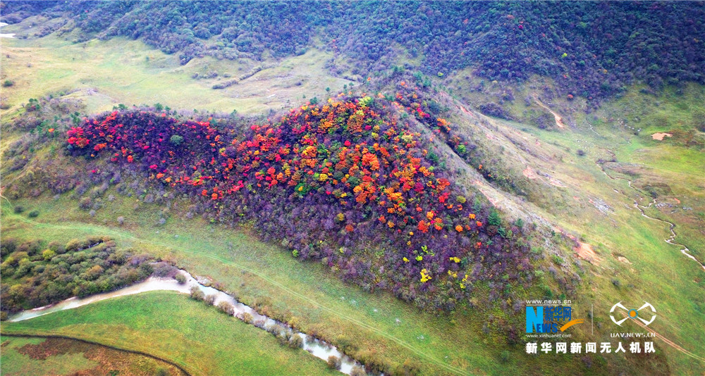 紅葉成最美點綴 航拍重慶紅池壩濕地之秋