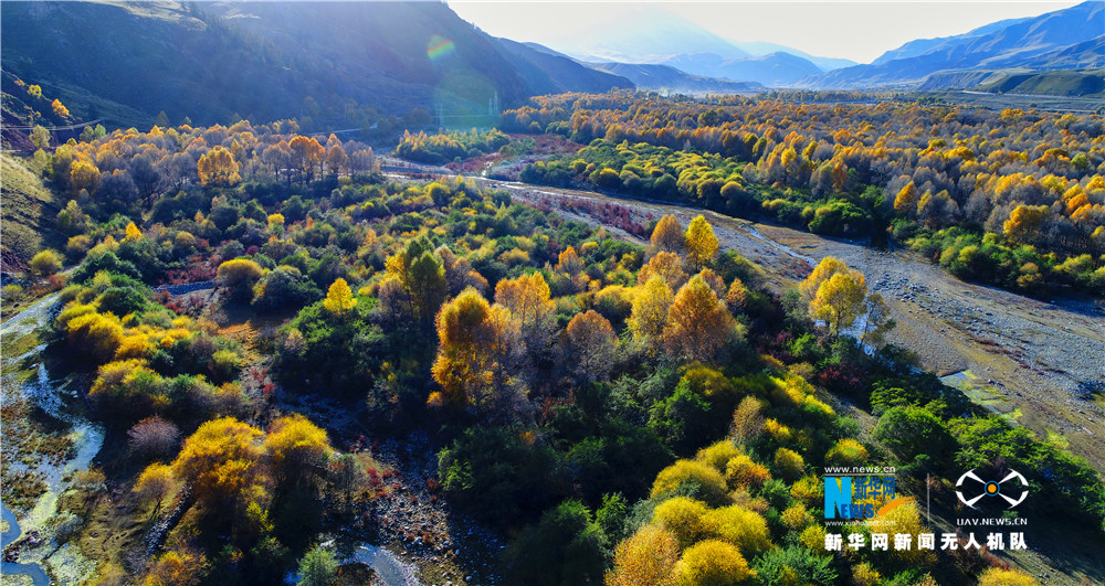 俯瞰祁連縣：層林盡染 高原秋景惹人醉