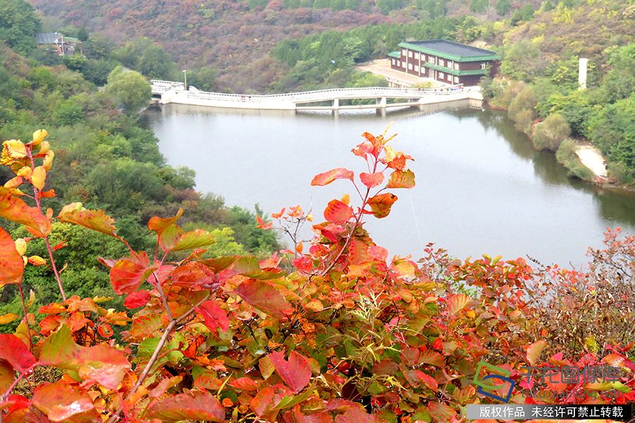 不怕堵1-2小時內可抵達 京城近郊最佳“紅葉欣賞地”全面推薦