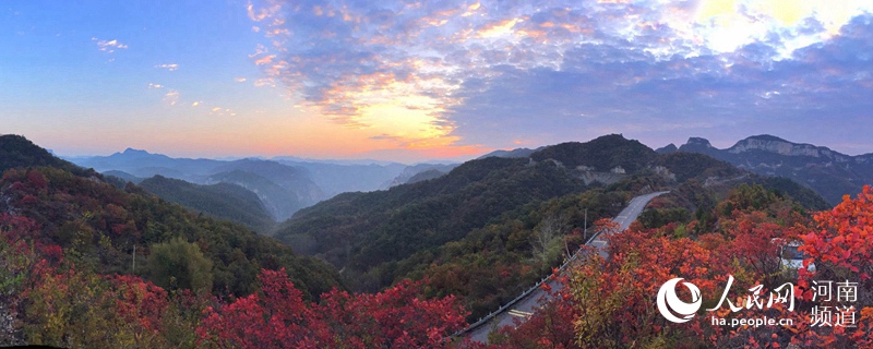 雲海紅葉顏值爆表 雲臺山繪就經典國畫