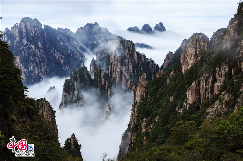 秋觀雲海 用身心體味黃山的自然神奇