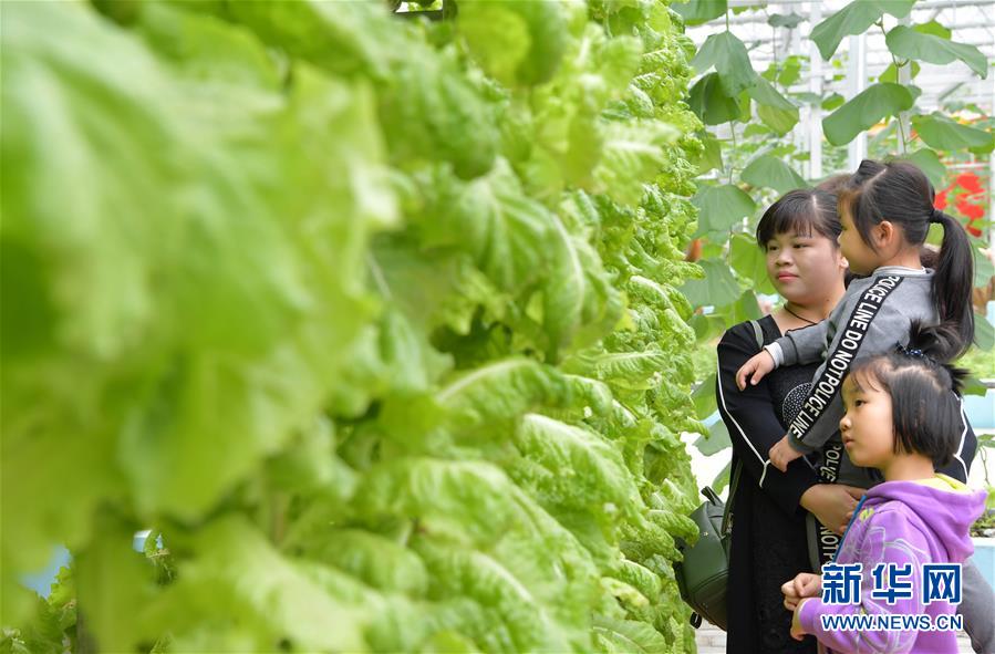 江西于都：田園綜合體帶動贛南農業轉型升級