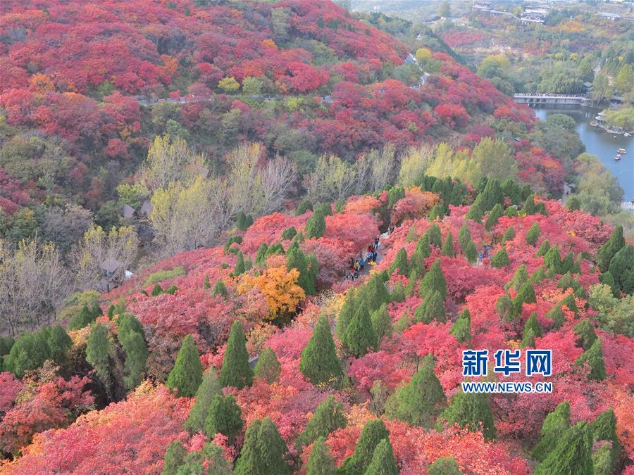 山東濟南：五彩斑斕紅葉谷