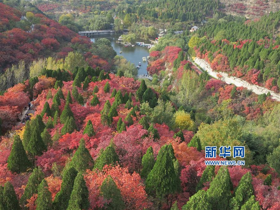 山東濟南：五彩斑斕紅葉谷