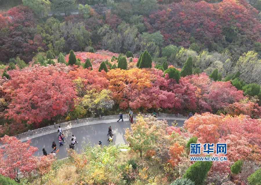 山東濟南：五彩斑斕紅葉谷