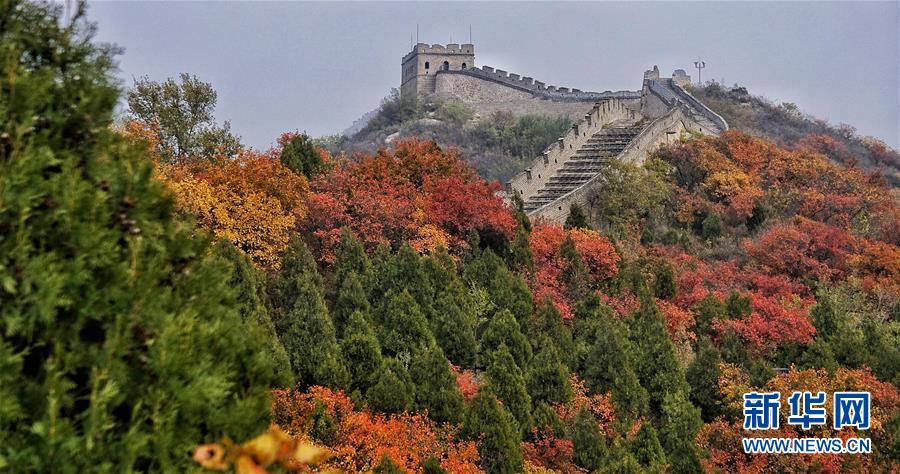 霜葉染紅北京八達嶺