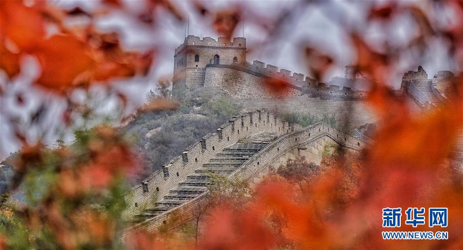 霜葉染紅北京八達嶺