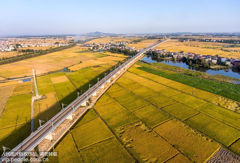 九景衢鐵路即將通車 途徑廬山、鄱陽湖、景德鎮、婺源多景點