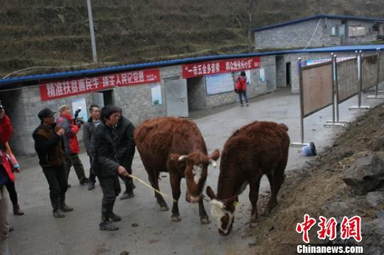 聚焦扶貧、養老等熱點 民主黨派建言“十三五”