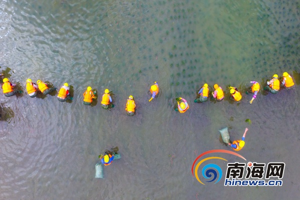 還未審核【焦點圖】【即時快訊】海口速度：美舍河鳳翔濕地公園7個月“成長記”