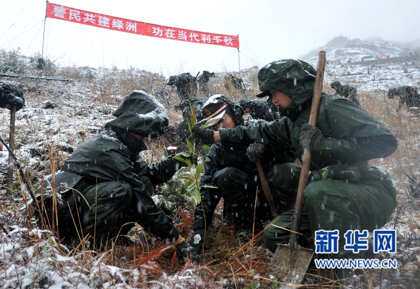 【網絡媒體走轉改】深山住一週 千名武警將種下70萬株樹苗