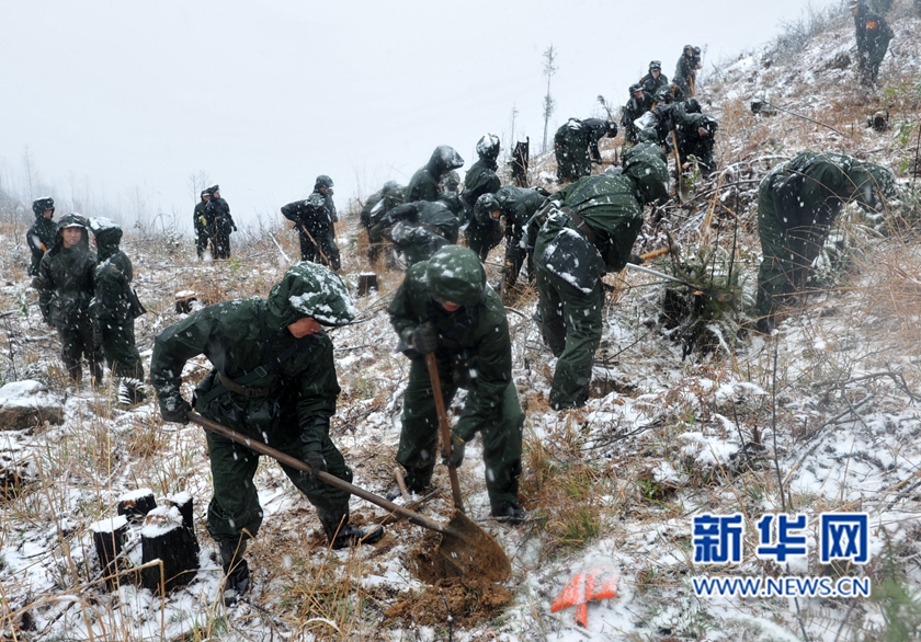 【網絡媒體走轉改】深山住一週 千名武警將種下70萬株樹苗