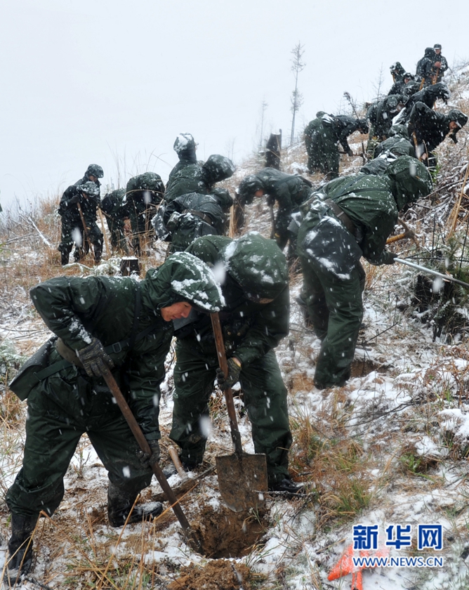 【網絡媒體走轉改】深山住一週 千名武警將種下70萬株樹苗