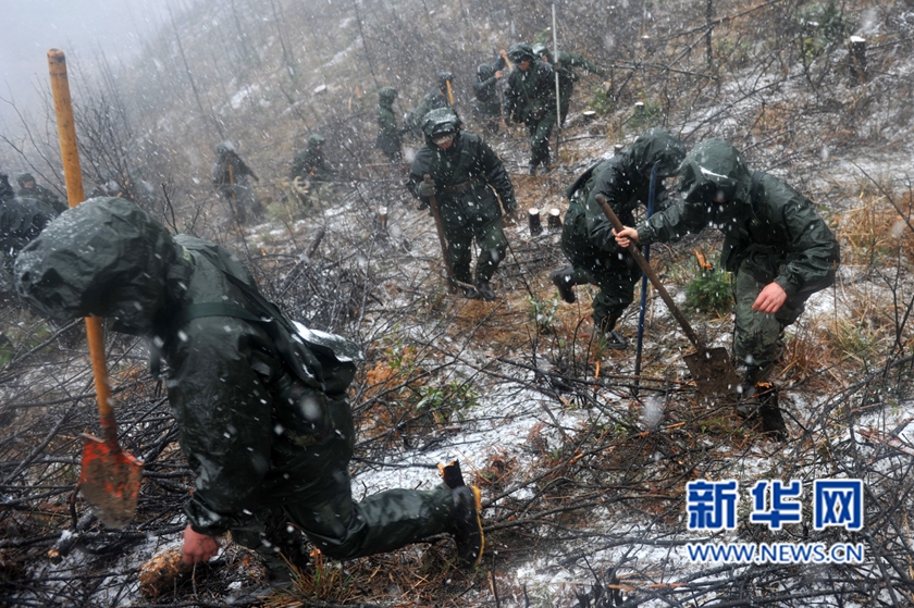 【網絡媒體走轉改】深山住一週 千名武警將種下70萬株樹苗