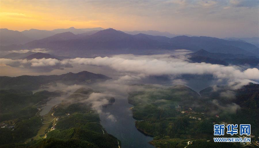 大別山的竹海與雲海