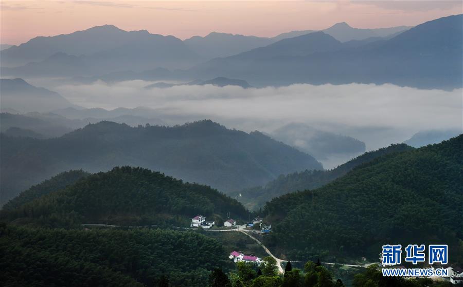 大別山的竹海與雲海