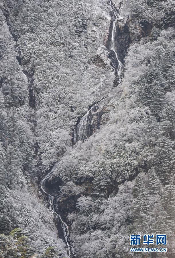 美麗玉麥 風景如畫