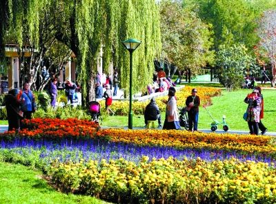 秋意正濃 北京市屬公園週末迎彩葉最佳觀賞期