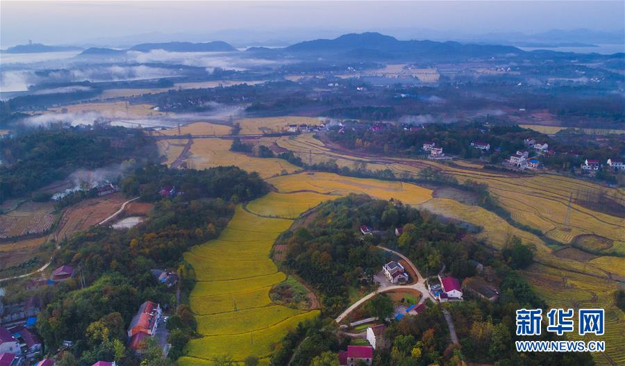 雲蒸霞蔚小山村