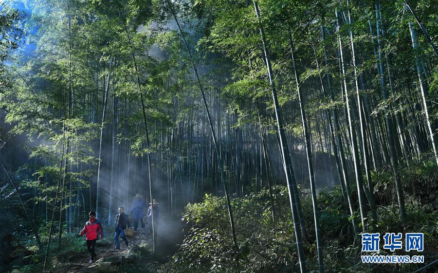 雲蒸霞蔚小山村