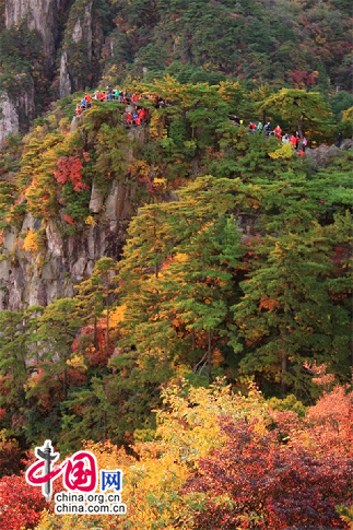 黃山：臨秋登高 俯察五色仰觀白雲(圖)