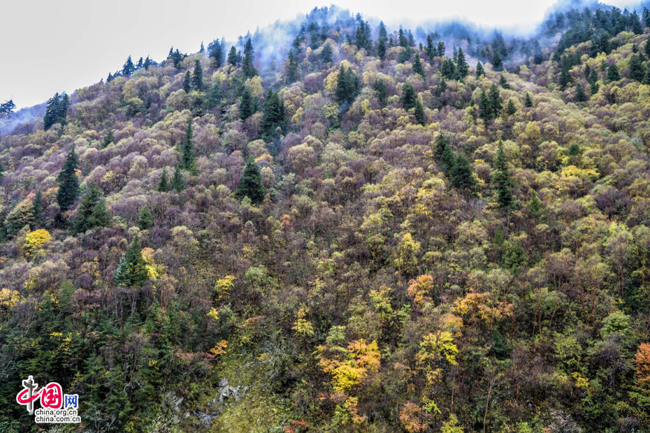 四川：達古冰山 就是一個讓靈魂寧靜的地方