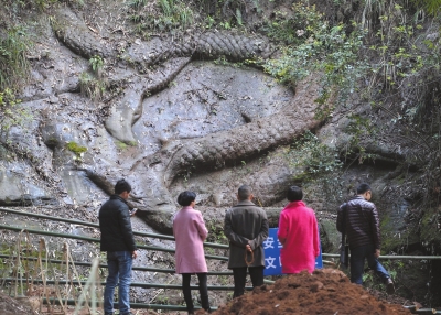 眉山文獻部門稱無證據證實石龍有關張獻忠沉銀