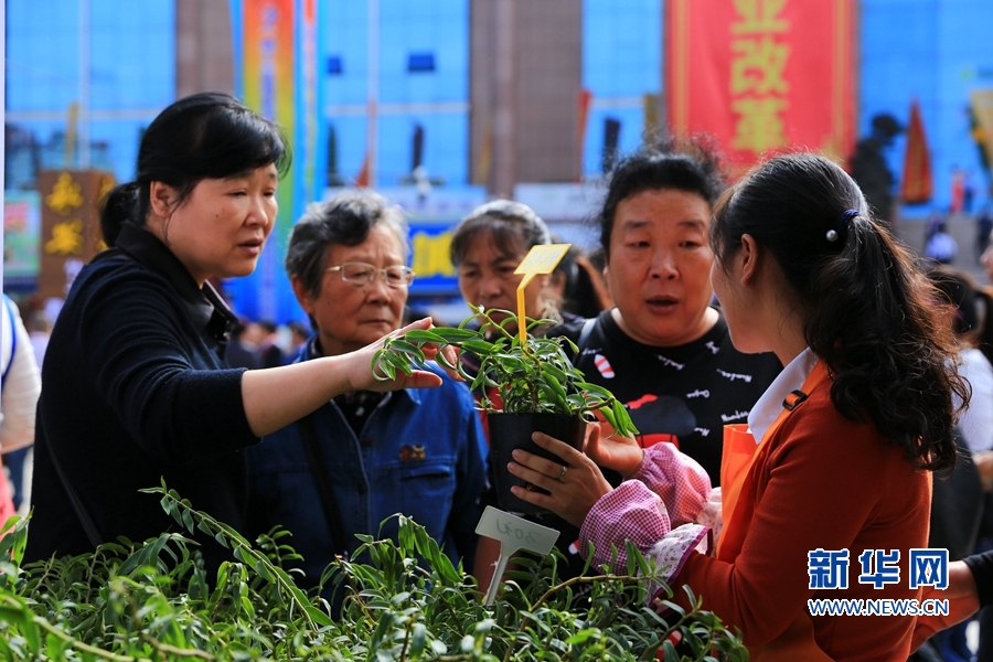 福建三明：竹木花果蔬齊聚亮相林博會