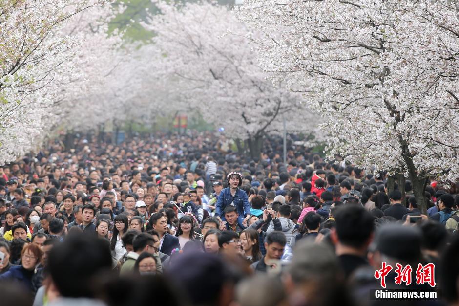 圖片默認標題