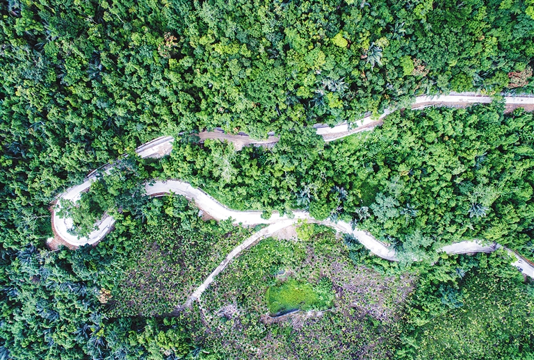 【焦點圖】【交通】【即時快訊】陵水吊羅山旅遊公路力爭年底建成通車