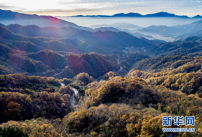 看萬山紅遍層林盡染 千里大別山流連忘返