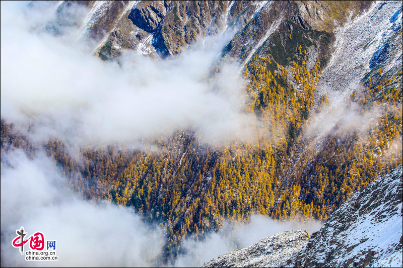 冰山彩林聯袂 達古冰山金秋最浪漫的風景線