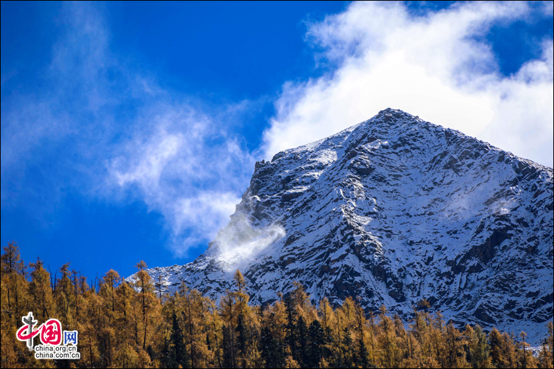 冰山彩林聯袂 達古冰山金秋最浪漫的風景線