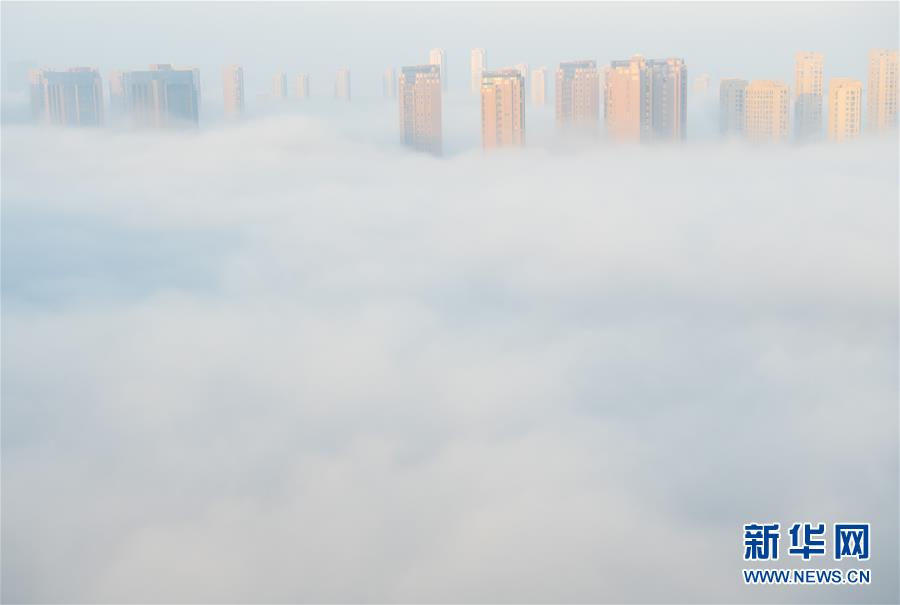 浙江上虞出現平流霧景觀