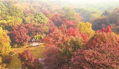 南京旅遊登山節開幕 活動歷時40天