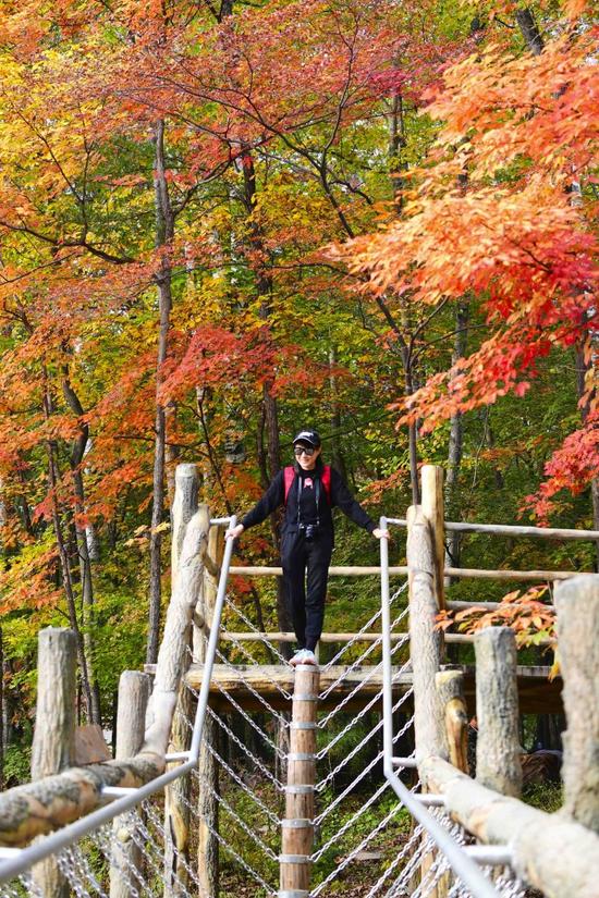 吉林遊記 紅石國家森林風景區的紅楓林