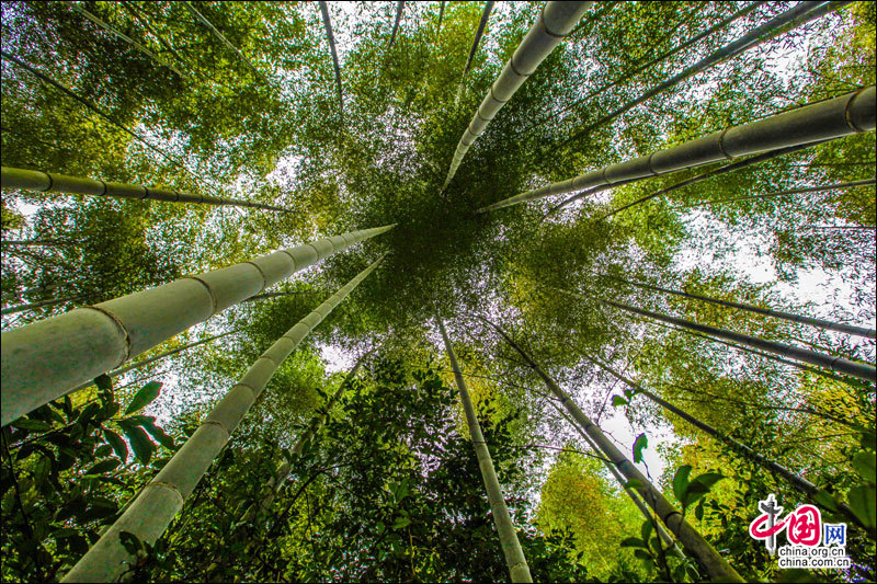 湖南崀山丹霞奇景 美如一幅瑰麗畫卷