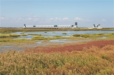 （環保圖文）河長制助港城治水再發力—連雲港總河長話治水