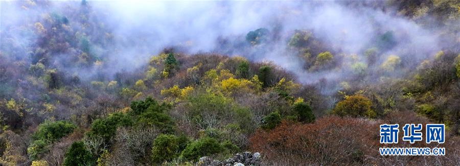 航拍陜西南宮山 雲霧繚繞 層林盡染