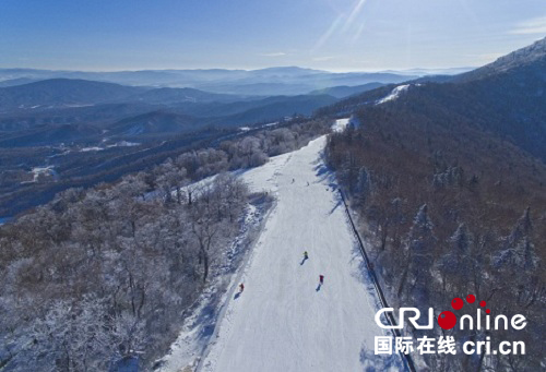 供稿已過【大美龍江】初冬的雪