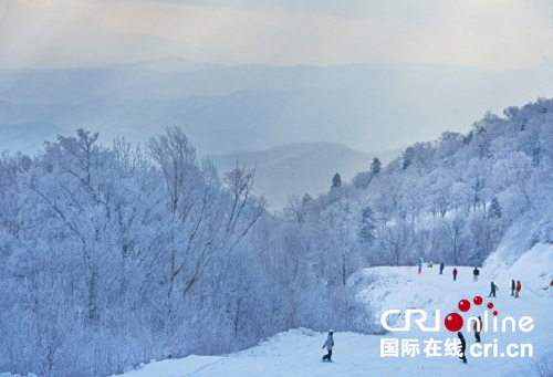 供稿已過【大美龍江】初冬的雪