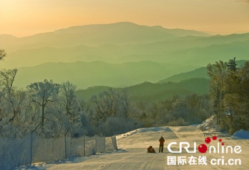 供稿已過【大美龍江】初冬的雪